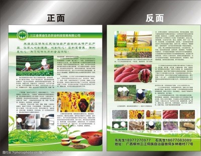 描繪綠色未來 生態農業公司的視覺敘事與開發實踐